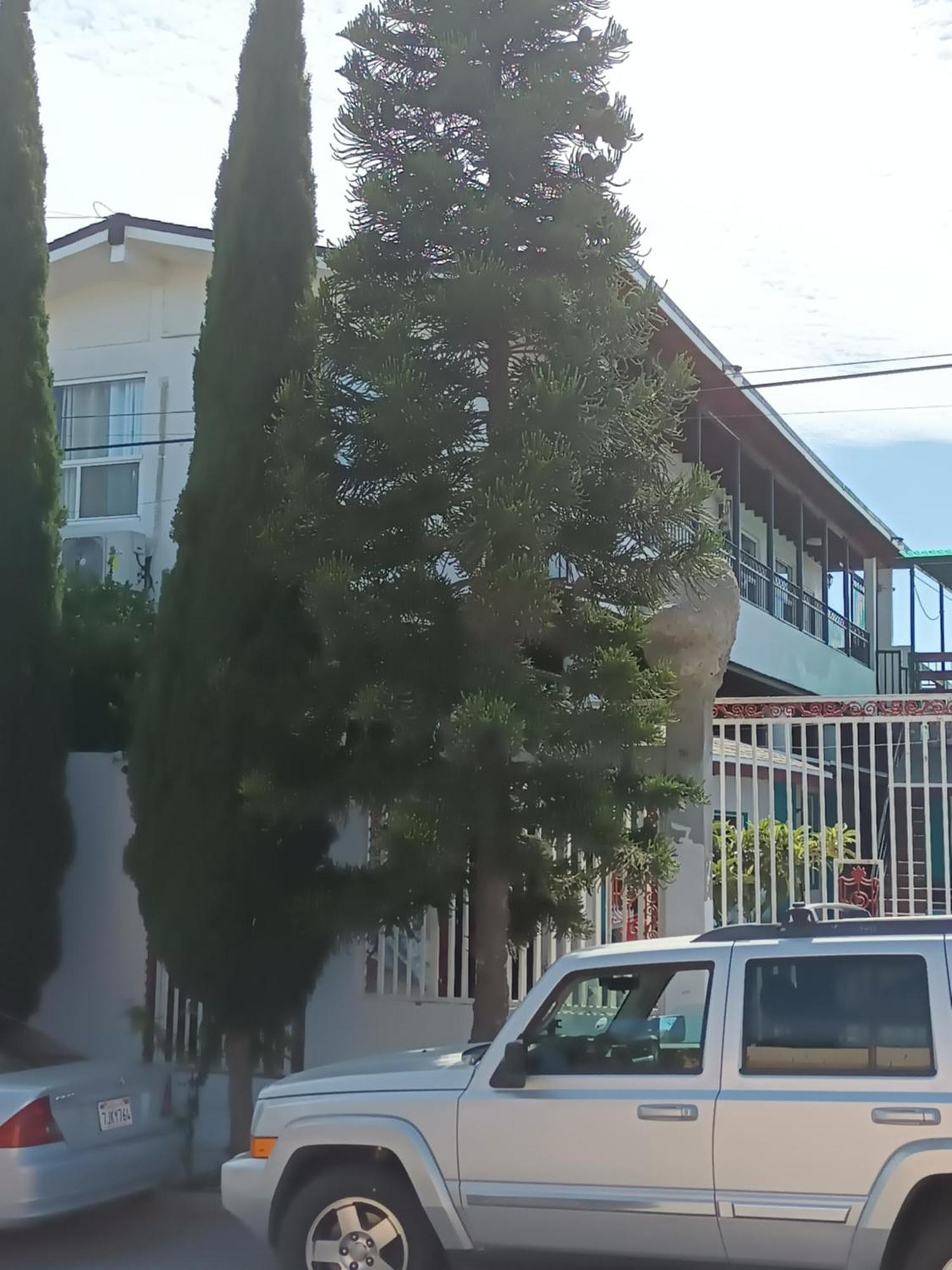 Apartamentos Rosarito.!! Con Vista Al Mar ! Екстер'єр фото